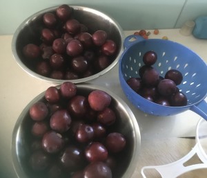 Plums