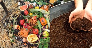 Soil Composting-Made-Easy-6-Simple-Steps-to-Follow3